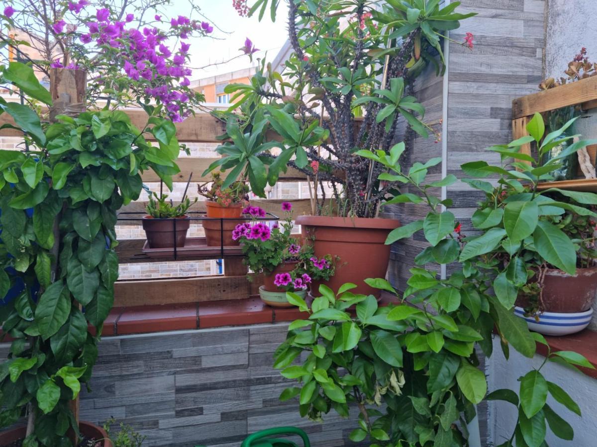Residenza Lucana Matera Zewnętrze zdjęcie