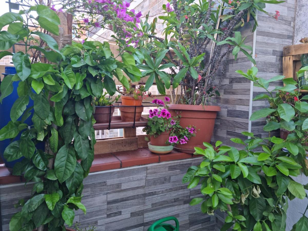 Residenza Lucana Matera Zewnętrze zdjęcie